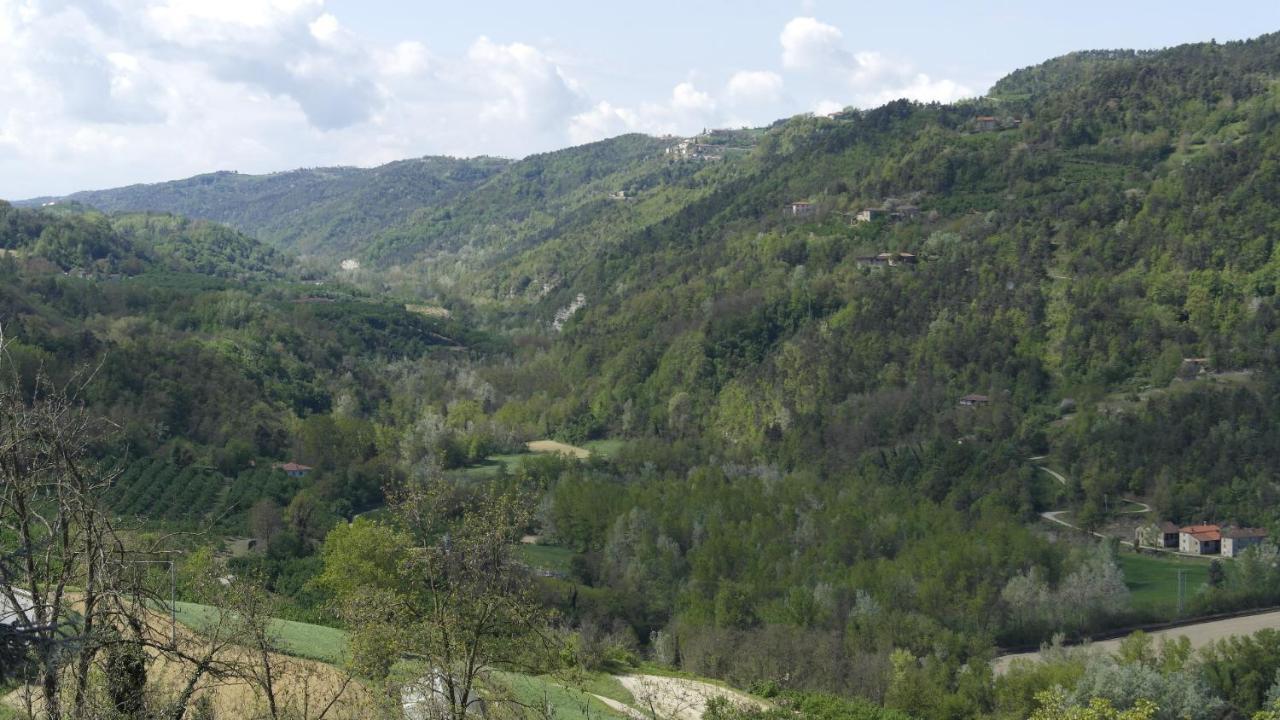 Cit Ni Panzió Bosia Kültér fotó