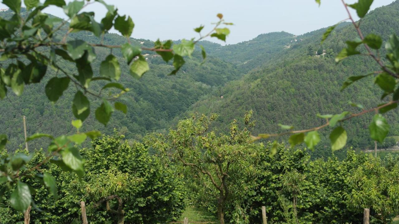 Cit Ni Panzió Bosia Kültér fotó